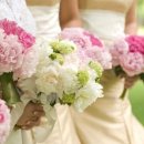 수원-0050 이미지