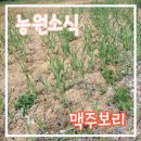 보리물농원