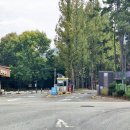 햇살자원 | 나주 가볼만한곳! 나주산림자원연구소 힐링 산책 후기