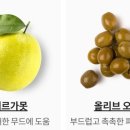 이솝 브랜치