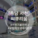 [충남 서천] 6살 아이와 가볼만한 곳, 국립해양생물자원관 씨큐리움 방문 후기(ft. 예약 꿀팁)