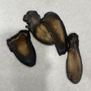 자양경희한의원 이미지