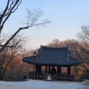 87. 철원 개화산 도피안사 : 신라말 천오백명의 염원을 담은 철조 비로자나불