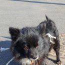 산방마을회관 이미지