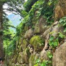 신흥사 화장실 이미지