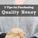 양질의 꿀 구매를 위한 5가지 팁 이미지