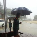 삼척해수욕장B 이미지