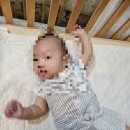 해를 담다 | 담다스튜디오 100일 성장앨범(?) 첫 촬영 후기