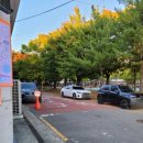 아라곰장어 이미지