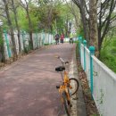 서호공원 이미지