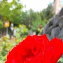 웅천북로 이미지