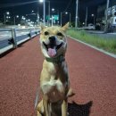 동물보육원 김포지부 이미지