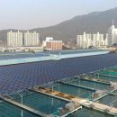 화전태양광발전소 이미지