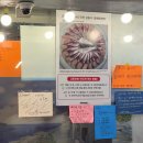 간석역 | 인천 간석역 고등어회 맛집 웨이팅 주차 내돈내산 후기