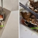 셔호나 케밥 티스토리
