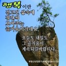 고성 1 공인중개사사무소 이미지