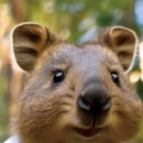 우정세탁 이미지