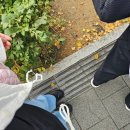 아리랑모텔 | [230812~13] 인생 2번째 락페 JUMF 2023 전주 얼티밋 뮤직 페스티벌 후기