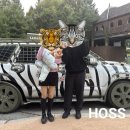 (주)에버투어 | 에버랜드 사파리 스페셜투어 후기 예약방법 가격 아이랑 나들이