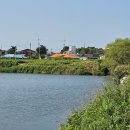 하점면-6 이미지