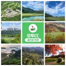 오투골프 이미지