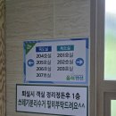 울릉도 올레펜션 | 여자친구와 함께한 여름휴가, 울릉도 올레펜션 다녀온 후기