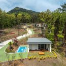 자연-이미지 이미지