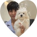 멍이맘&대디 이미지