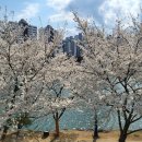 언하공단로2 이미지