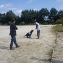 기린중학교 이미지