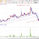 선도전기 이미지