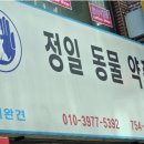 정일약국 - 중구 청파로 437 | 정일약국