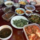 장혁농장 | August recap(3) ::: 여름방학 무더위