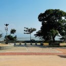 부안온가족센터 | 부안 곰소 회맛집 인천아줌마 경미네 내돈내산 후기