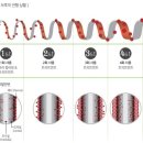 헤나킹