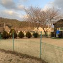 앵두펜션 | 포항애견동반펜션 올레애견펜션 개별운동장 글램핑 후기 추천