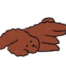 멍삼이네 이미지