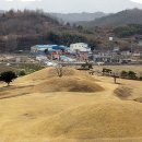 함안 말이산고분군 이미지