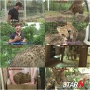 맹수 농장 이미지