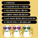 [광주 아이포커스 첨단2지구 안경점] 정밀 시력검사부터 맞춤 검안까지 완벽했던 후기