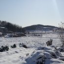 겨울의 눈(雪) 이미지