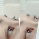 모모헤어룸 | 홍대 속눈썹펌 미미모모, 만족도 최상 인생 첫 클레어 펌+케라틴 영양 후기