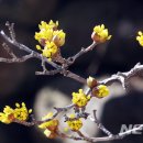 탁구 중급반 이미지