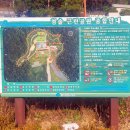 청솔공원 | [인천 연수구 가볼 만한 곳] 도심 속 힐링 공간, 청솔공원 강아지 산책 후기!