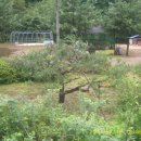 에덴관광농원 이미지