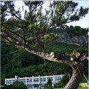 남양초등학교태하분교장 이미지