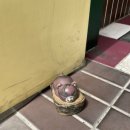 안터생태공원 | 광명 어린이날 안터생태공원 걷기 대회 물총 히어로 : 신청방법, 주차, 준비물