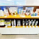 청담동물병원애견미용실 이미지