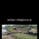음지리농장 Daum카페