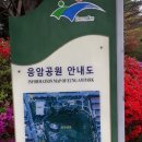 응암공원 이미지